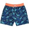 BCOOL 2 or 3-Pack Boys Swim Trunks, Kids Quick Dry Swimming Shorts with Liner – Solid/Printed Swimwear(Dolph)