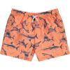 BCOOL 2 or 3-Pack Boys Swim Trunks, Kids Quick Dry Swimming Shorts with Liner – Solid/Printed Swimwear(Dolph)