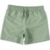 BCOOL 2 or 3-Pack Boys Swim Trunks, Kids Quick Dry Swimming Shorts with Liner – Solid/Printed Swimwear(Gingh)