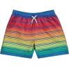BCOOL 2 or 3-Pack Boys Swim Trunks, Kids Quick Dry Swimming Shorts with Liner – Solid/Printed Swimwear(Multi)