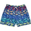 BCOOL 2 or 3-Pack Boys Swim Trunks, Kids Quick Dry Swimming Shorts with Liner – Solid/Printed Swimwear(Multi)