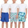 BCOOL 2 or 3-Pack Boys Swim Trunks, Kids Quick Dry Swimming Shorts with Liner – Solid/Printed Swimwear(Tropi)