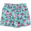 BCOOL 2 or 3-Pack Boys Swim Trunks, Kids Quick Dry Swimming Shorts with Liner – Solid/Printed Swimwear(Tropi)