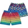 BCOOL 2 or 3-Pack Boys Swim Trunks, Kids Quick Dry Swimming Shorts with Liner – Solid/Printed Swimwear(Multi)