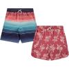 BCOOL 2 or 3-Pack Boys Swim Trunks, Kids Quick Dry Swimming Shorts with Liner – Solid/Printed Swimwear(Strip 2pk)