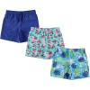 BCOOL 2 or 3-Pack Boys Swim Trunks, Kids Quick Dry Swimming Shorts with Liner – Solid/Printed Swimwear(Tropi)