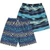 BCOOL 2 or 3-Pack Boys Swim Trunks, Kids Quick Dry Swimming Shorts with Liner – Solid/Printed Swimwear(Wave)