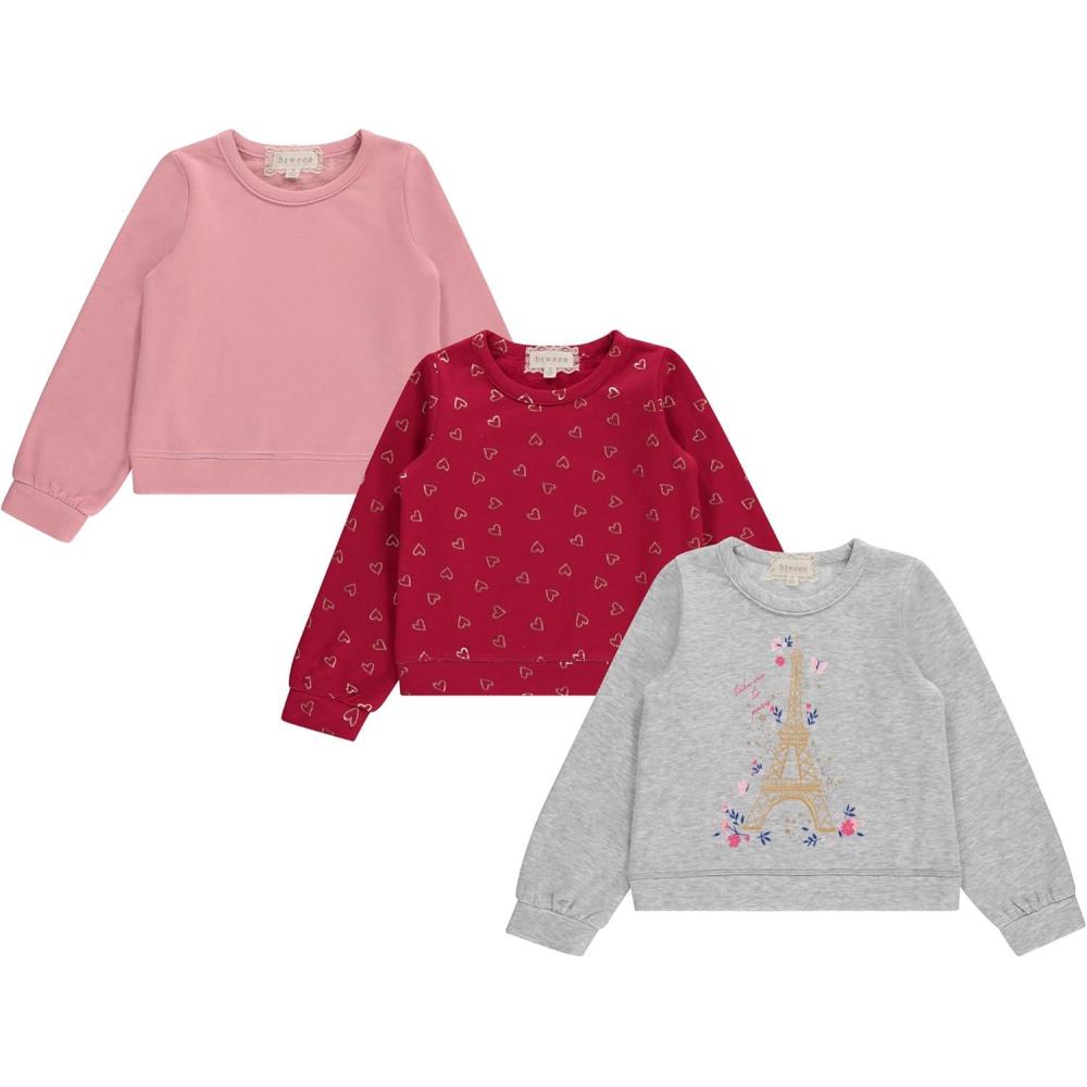 imageBTween Girls 3 Piece CrewithNeck Fleece Sweatshirt Set Long Sleeve Cotton Blend Pullover Soft and Comfortable Sizes 412Rose